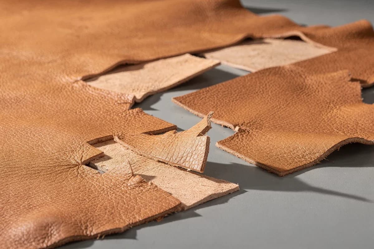 Leather hide with parts cut out, edges in the natural leather color