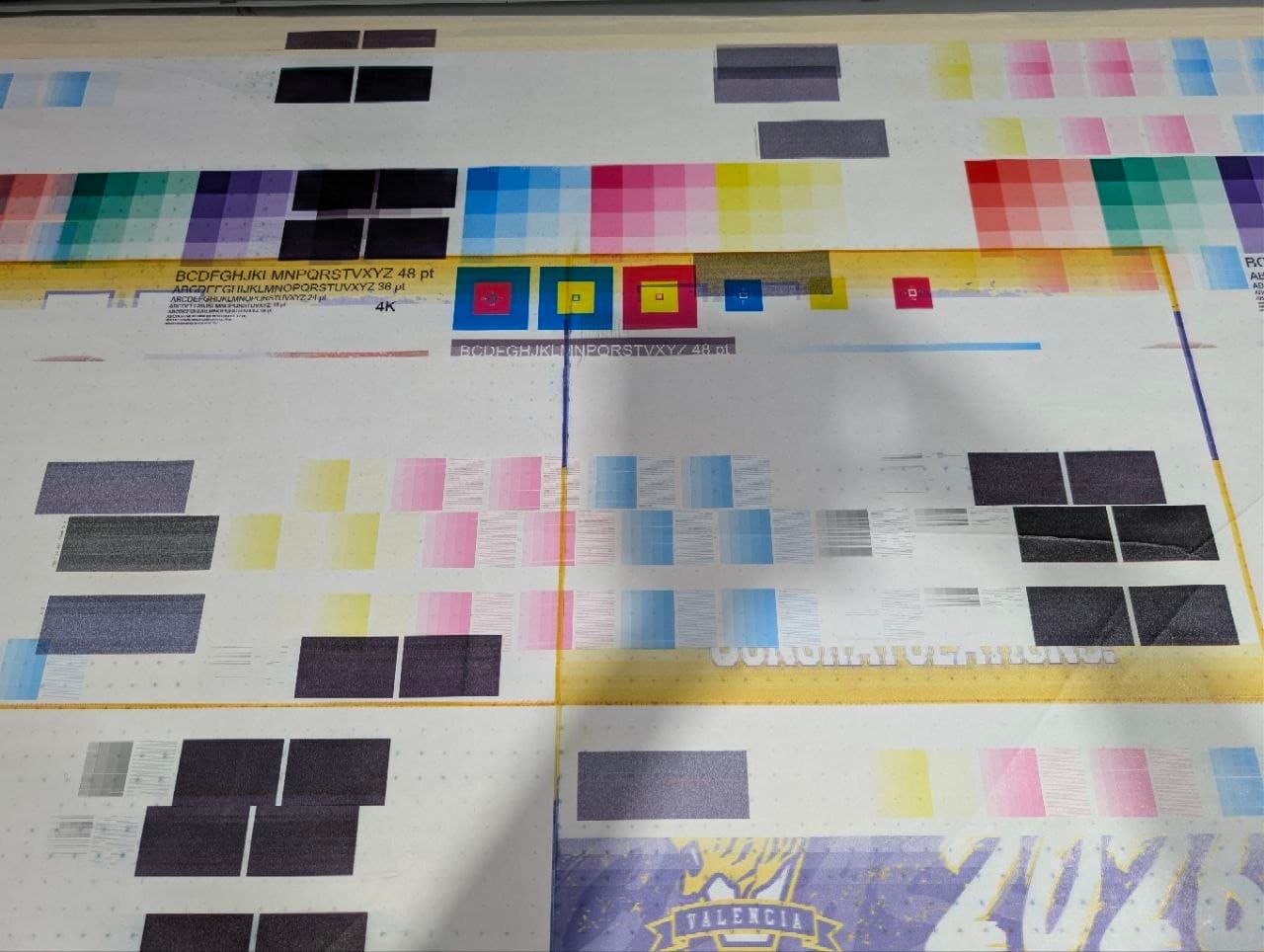 Color test chart printed after the conversion, patches, gradients and text scales